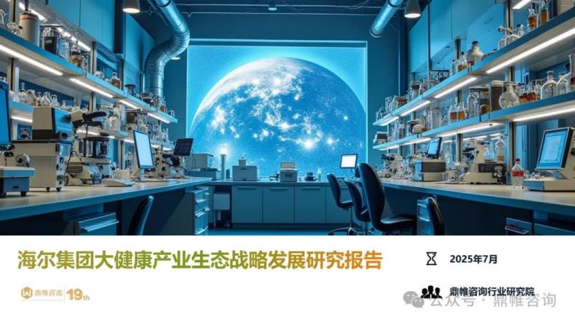 【19360E】【鼎帷咨询】2025海尔集团大健康产业生态战略发展研究报告