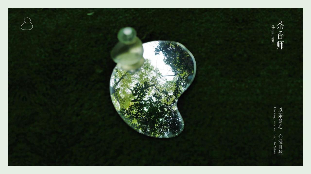 【20795E】茶香师品牌介绍