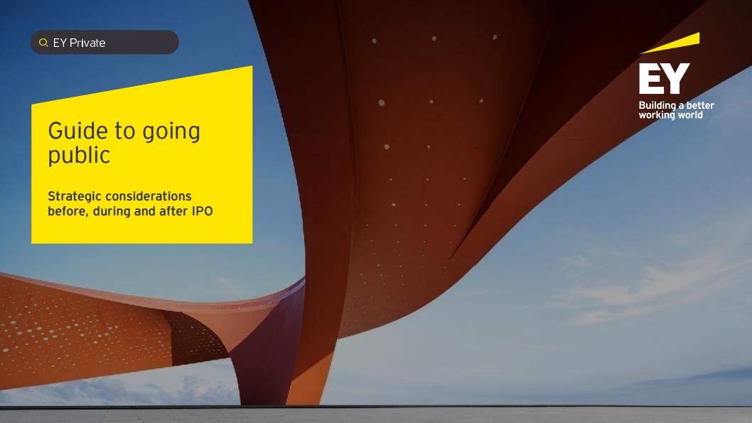 【20963E】2025年第一季度全球IPO报告